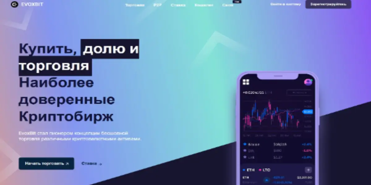 обзор на Evoxbit