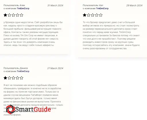 Обзор TmGmCorp Обзор TmGmCorp