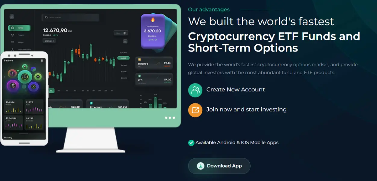 BvBExchage обзор