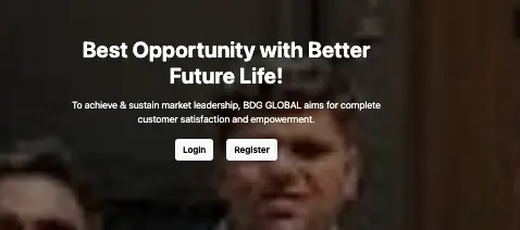 BDG Global обзор сайта витрина сайта BDG Global