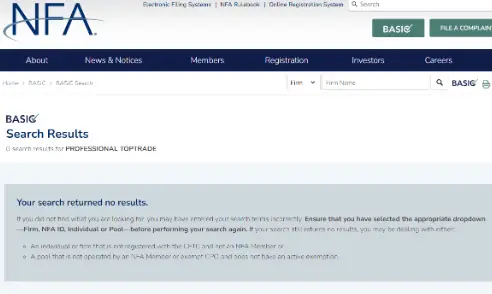 обзор на Professional Toptrade
