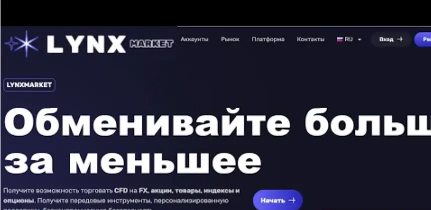 обзор LynxMarket