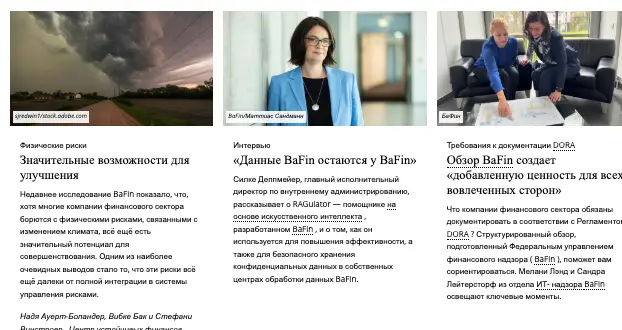 BaFin инфо о проекте обзор на BaFin