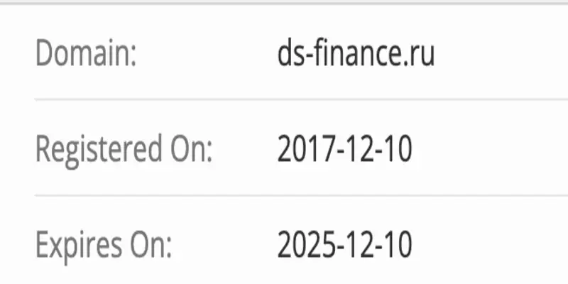 DS Consulting домен домен DS Consulting