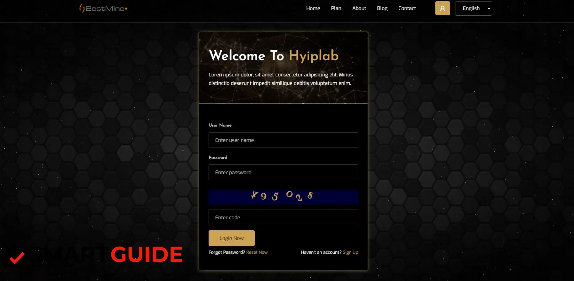 Бест Майн отзывы