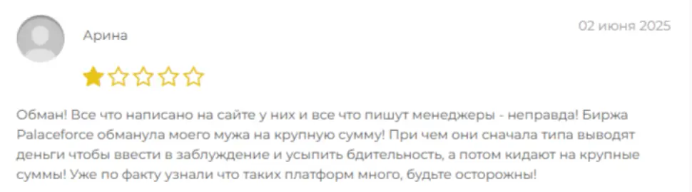 отзыв клиента Palaceforce Digital