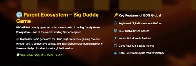 BDG Global инфо о проекте обзор на BDG Global