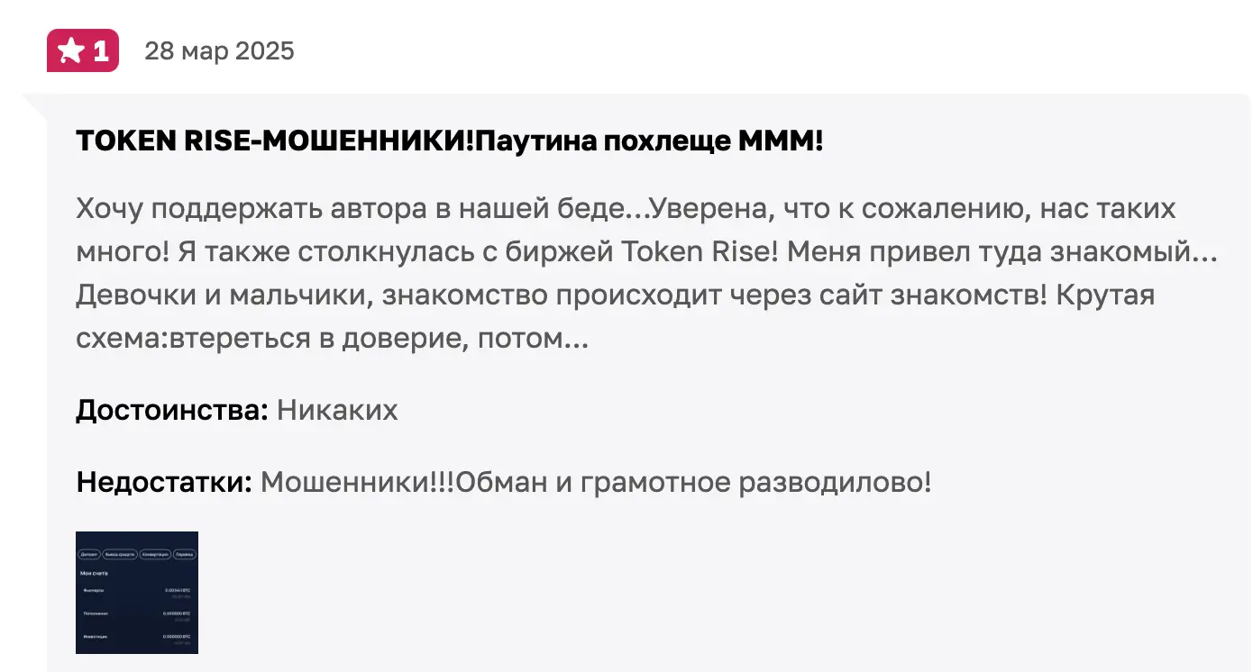 Token Rise отзывы
