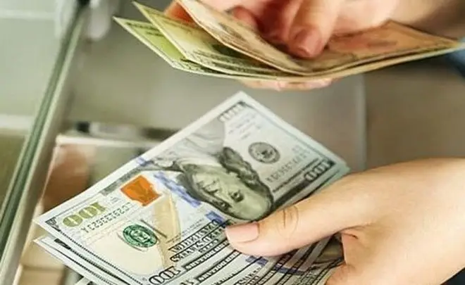 Зинейра Отзывы Зинейра Отзывы