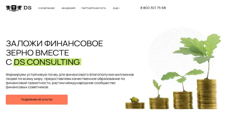 DS Consulting обзор информация о DS Consulting