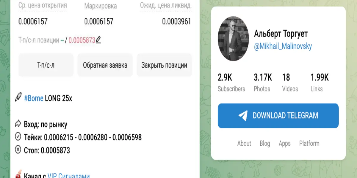 Альберт Торгует обзор проекта информация о Альберт Торгует