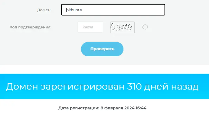 bitbum-proverka-domena BitBum проверка домена