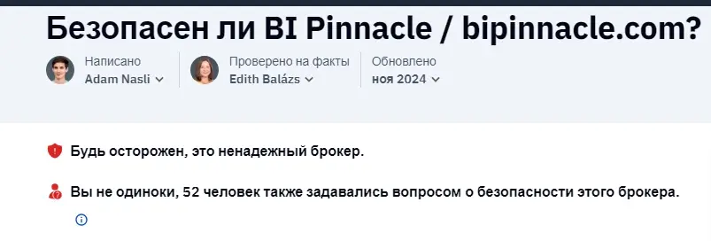 BI Pinnacle обзор