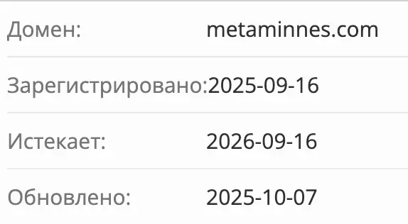 MetaMinnes домен  домен MetaMinnes