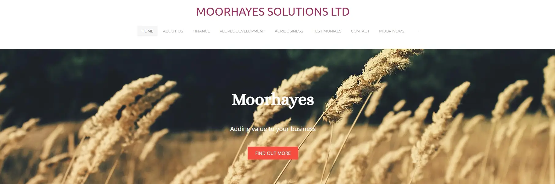 Moorhayes-Green-obzor Moorhayes Green обзор