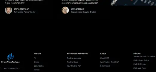 информация о Brain Wave Fortune