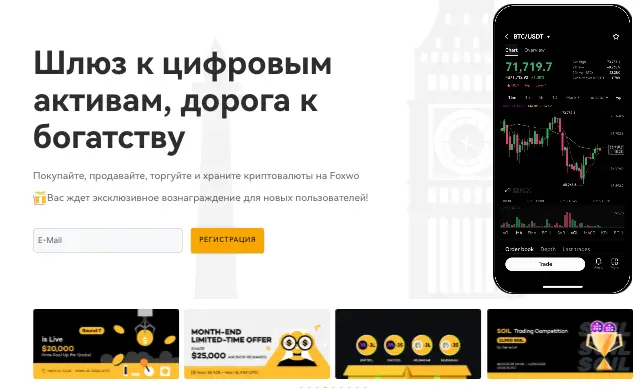 обзор на FOXWO