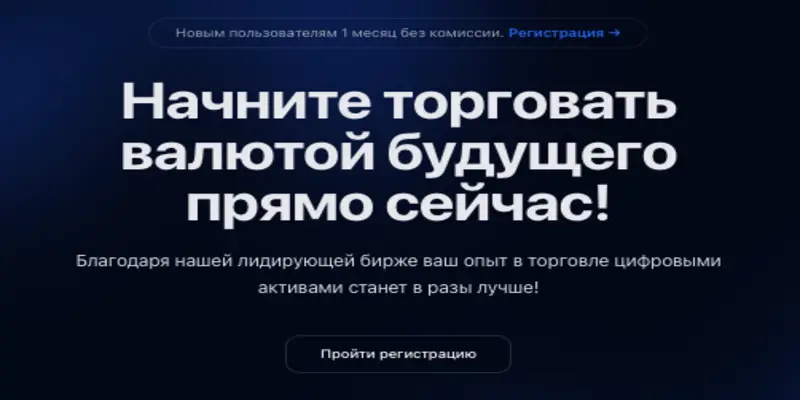 обзор на ZORPEX