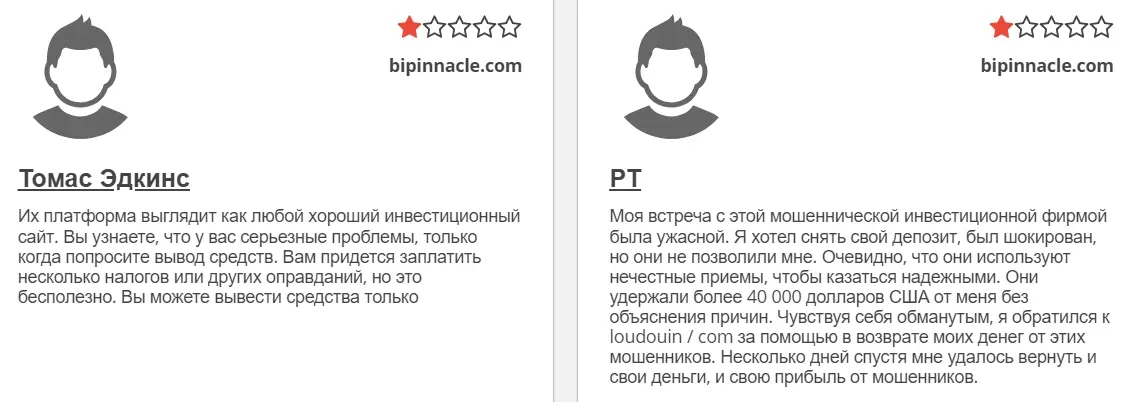 BI Pinnacle отзыв