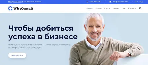 WiseConsult обзор и отзывы WiseConsult обзор и отзывы