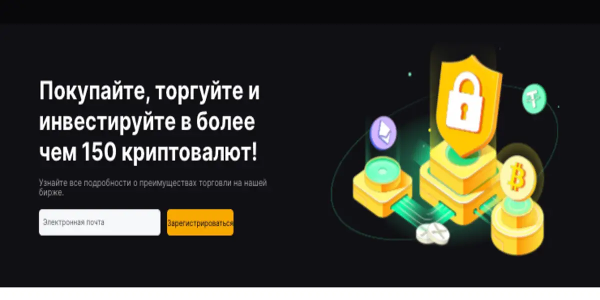 обзор на PayX