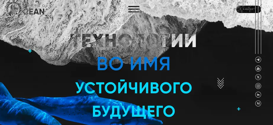 Crypto Ocean Ltd. ΠΎΠ±Π·ΠΎΡ ΠΏΡΠΎΠ²Π΅ΡΠΊΠ° ΡΠ°ΠΉΡΠ° Crypto Ocean Ltd.