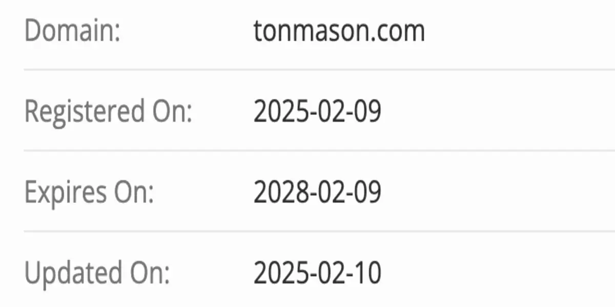 домен TON MASON