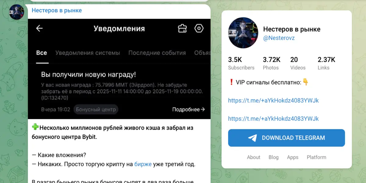 информация о Нестеров в рынке