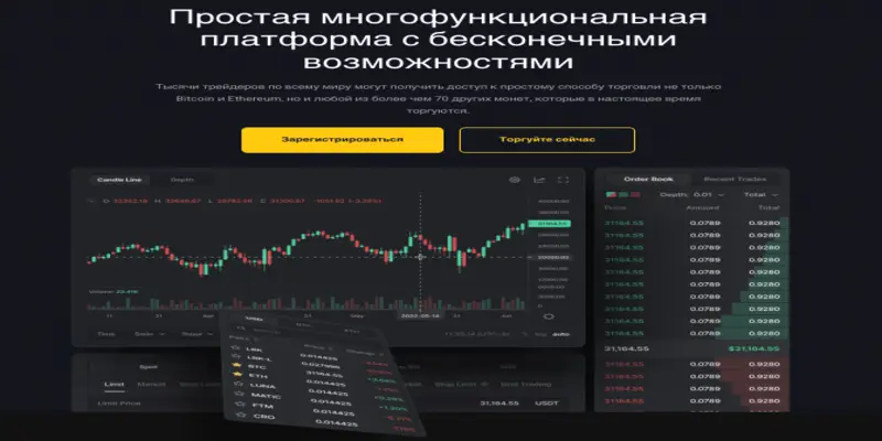 Bitkey инфо о проекте обзор на Bitkey