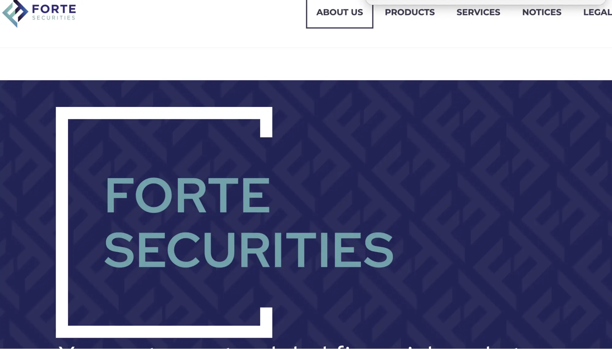 Forte Securities Limited обзор обзор Forte Securities Limited
