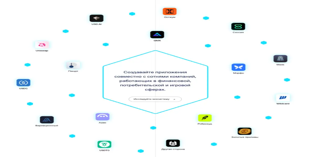 Arbitrum обзор проекта информация о Arbitrum