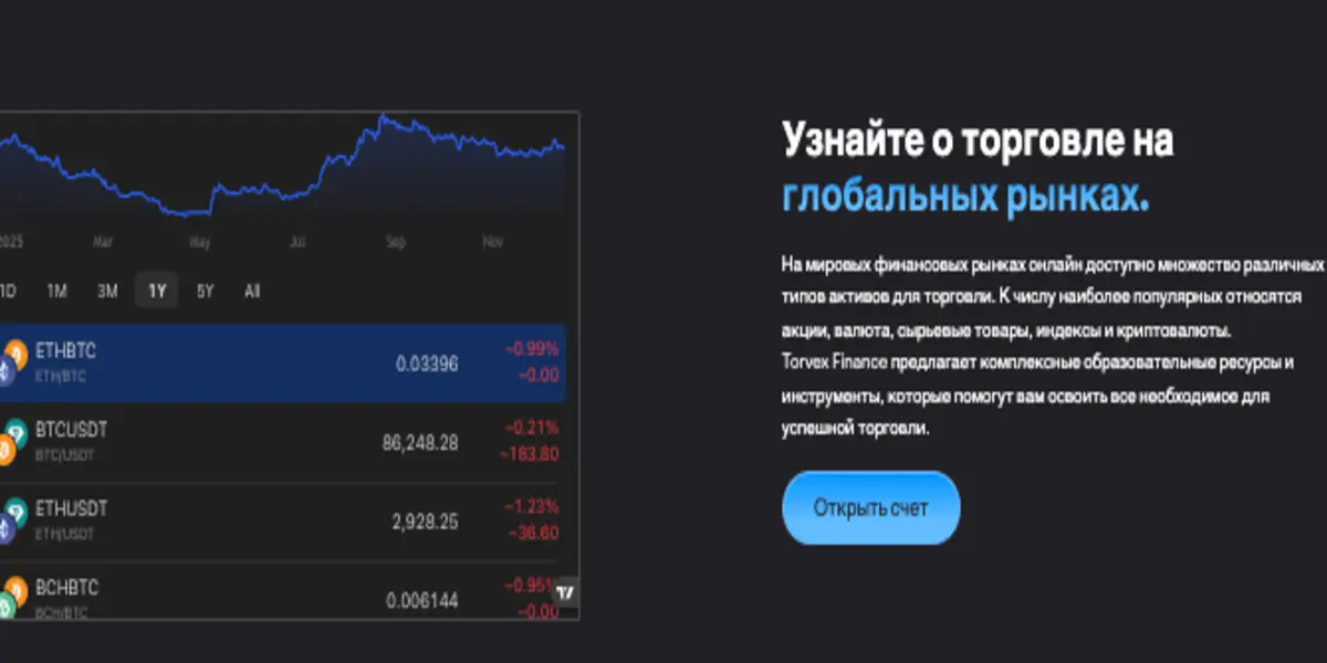 Torvex Finance обзор условий что известно? Torvex Finance