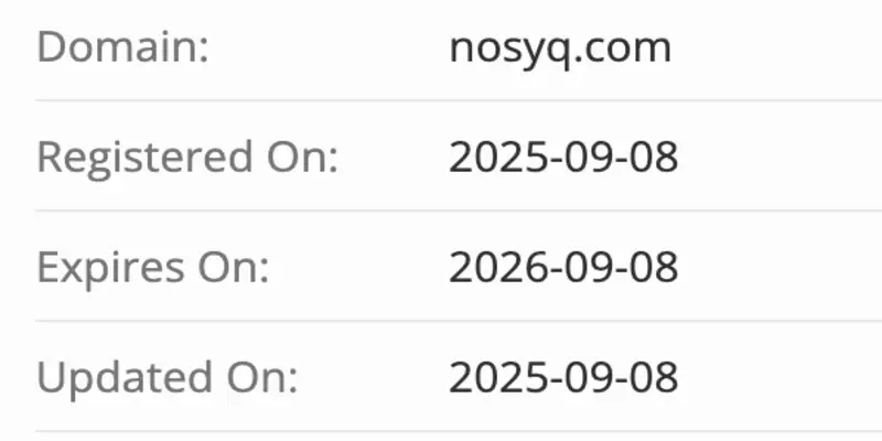 домен Nosyq