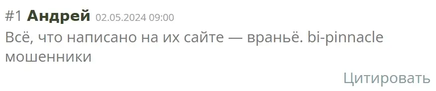 bipinnacle.com отзывы