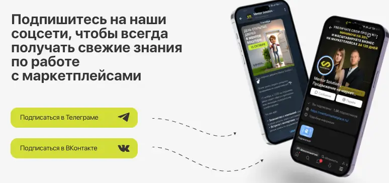 Mentor Solution инфо о проекте обзор на Mentor Solution