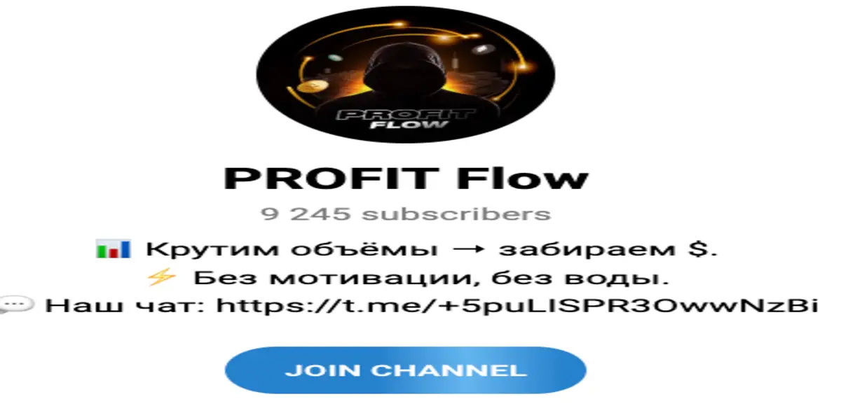 обзор на PROFIT Flow