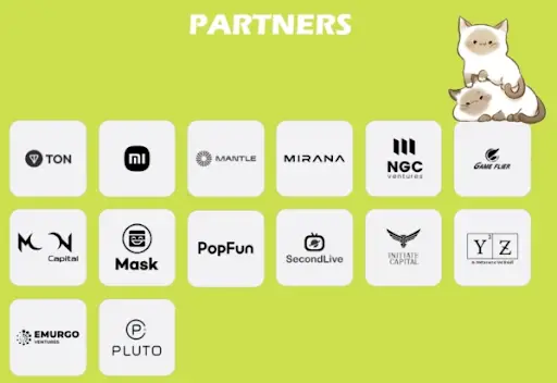 Кидалово Catizen Кидалово Catizen