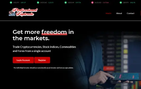 страница сайта Professional Toptrade