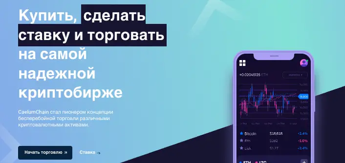 инфо о проекте CaelumChain