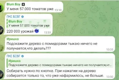 Tomarket развод Tomarket развод