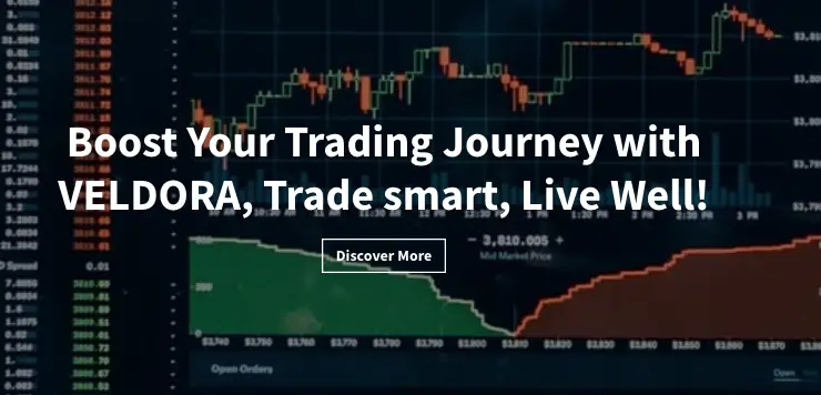 обзор на Veldora Trading