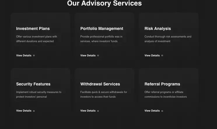 обзор на Ravi Trading