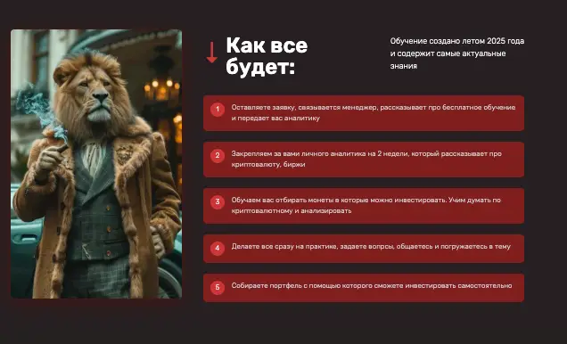 CryptoWise University обзор сайта инфо о сайте CryptoWise University