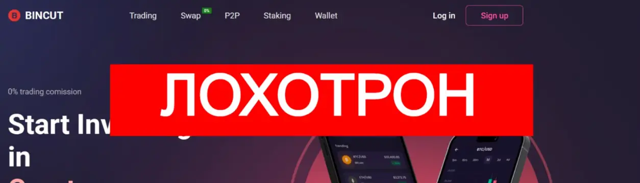страница сайта Bincut