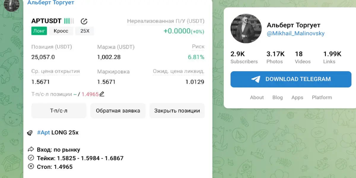 Альберт Торгует инфо о проекте обзор на Альберт Торгует