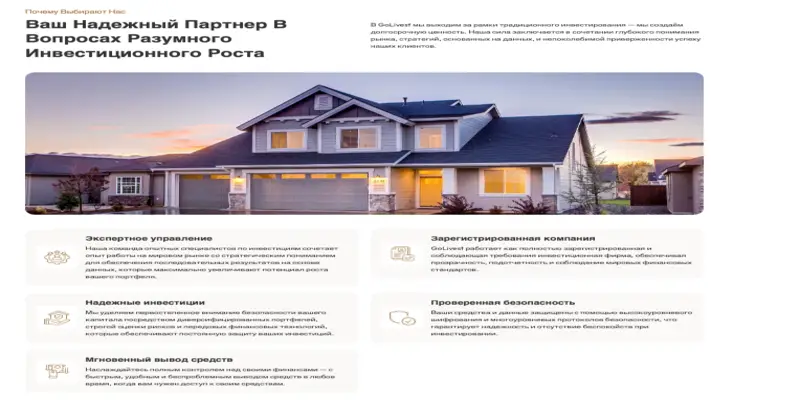 GoLivest инфо о проекте обзор на GoLivest