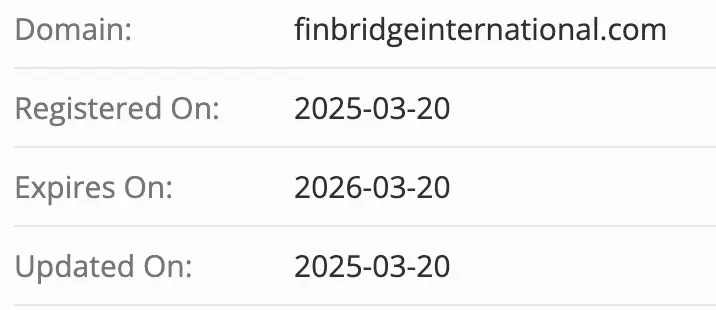 домен FinBridge International