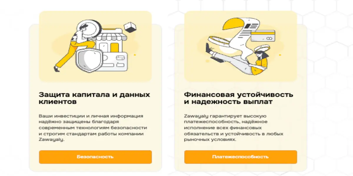 обзор на Zawayaly