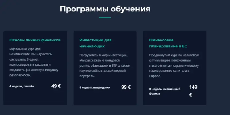 FinVision обзор проекта информация о FinVision