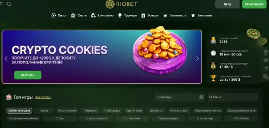 RioBet инфо о проекте  обзор на RioBet